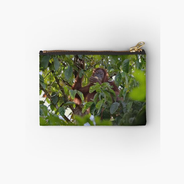 Item preview, Wild orangutan eating in a tree designed and sold by franck380.
