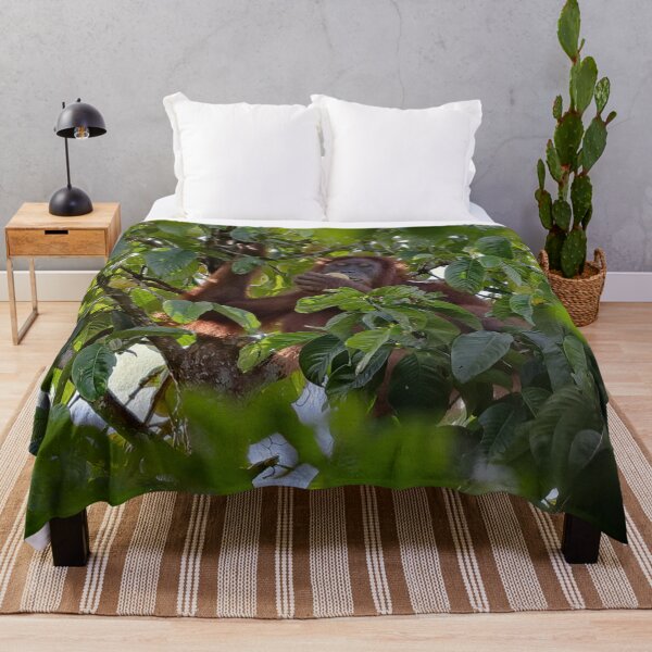 Item preview, Wild orangutan eating in a tree designed and sold by franck380.