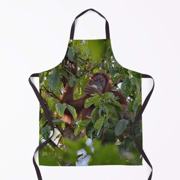 Item preview, Wild orangutan eating in a tree designed and sold by franck380.