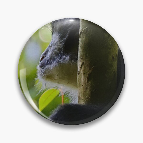 Item preview, Close-up of a Thomas langur designed and sold by franck380.