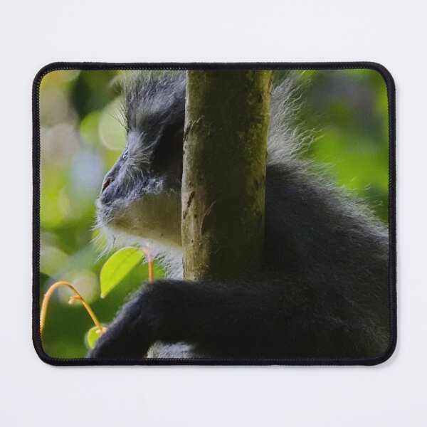 Item preview, Close-up of a Thomas langur designed and sold by franck380.