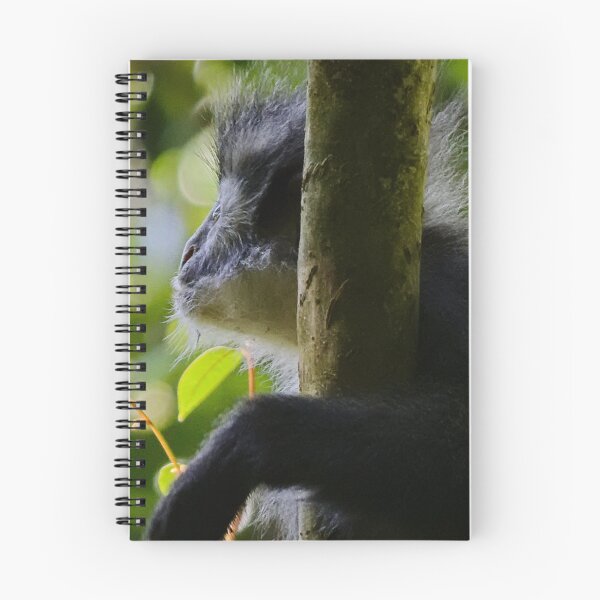 Item preview, Close-up of a Thomas langur designed and sold by franck380.