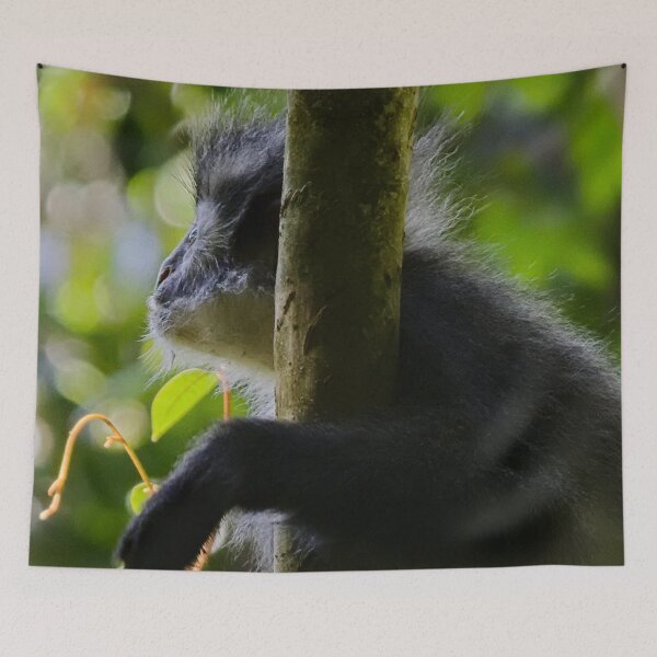 Item preview, Close-up of a Thomas langur designed and sold by franck380.
