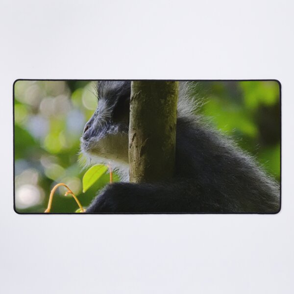 Item preview, Close-up of a Thomas langur designed and sold by franck380.