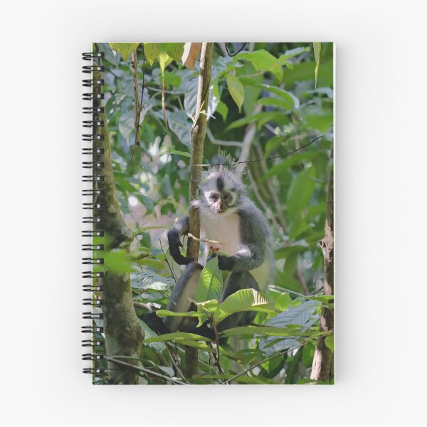 Item preview, Captivating look of a Thomas langur designed and sold by franck380.