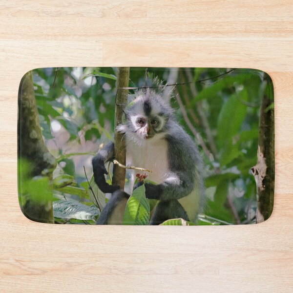 Item preview, Captivating look of a Thomas langur designed and sold by franck380.