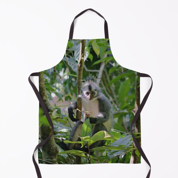 Item preview, Captivating look of a Thomas langur designed and sold by franck380.