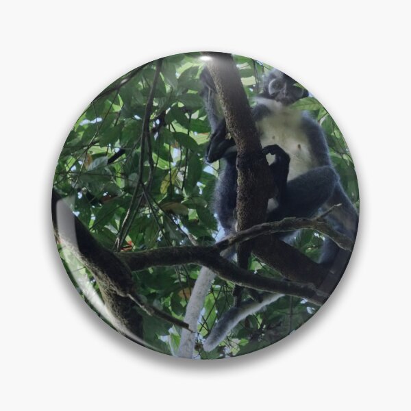 Item preview, Thomas's langur perched in the canopy designed and sold by franck380.