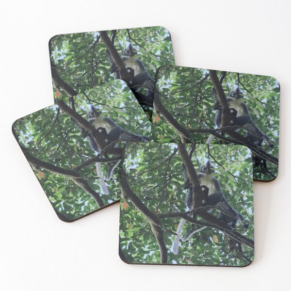 Item preview, Thomas's langur perched in the canopy designed and sold by franck380.
