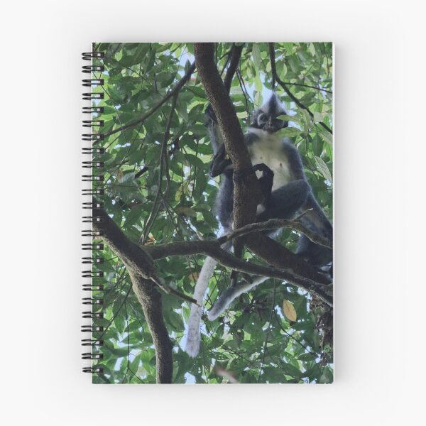 Item preview, Thomas's langur perched in the canopy designed and sold by franck380.