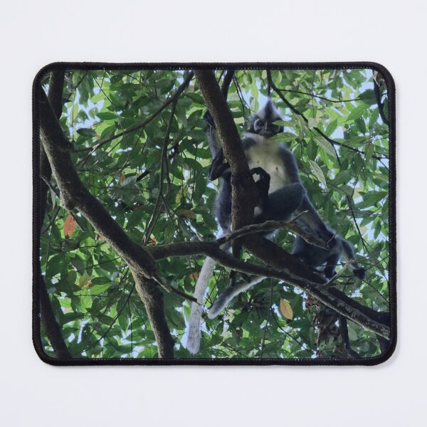 Item preview, Thomas's langur perched in the canopy designed and sold by franck380.