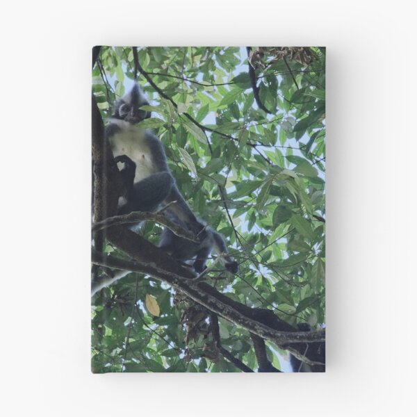Item preview, Thomas's langur perched in the canopy designed and sold by franck380.