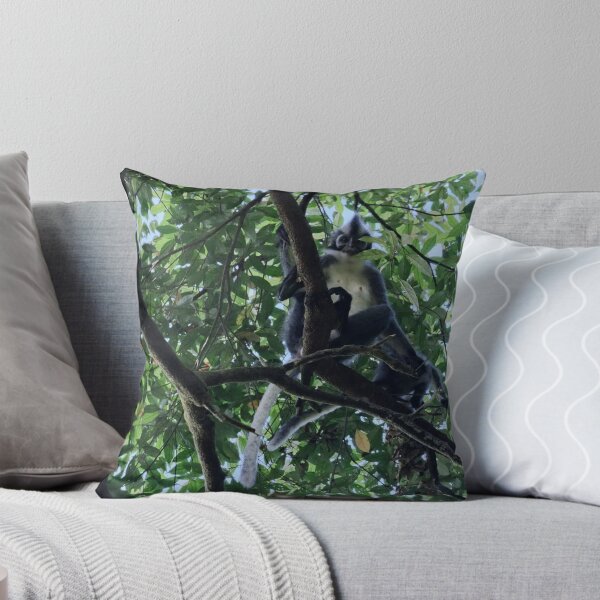 Item preview, Thomas's langur perched in the canopy designed and sold by franck380.
