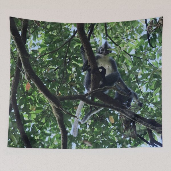 Item preview, Thomas's langur perched in the canopy designed and sold by franck380.