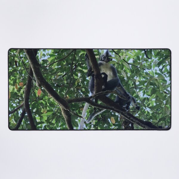 Item preview, Thomas's langur perched in the canopy designed and sold by franck380.