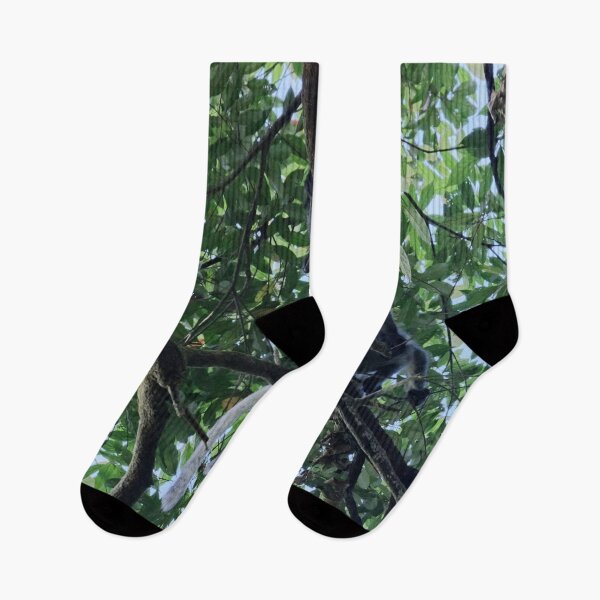 Item preview, Thomas's langur perched in the canopy designed and sold by franck380.