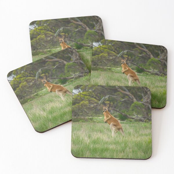 Item preview, Kangaroo in the wild designed and sold by Stephen Jolly.
