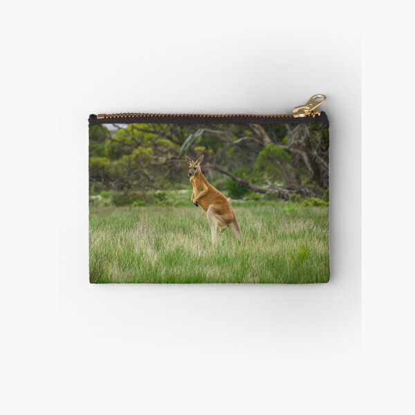Item preview, Kangaroo in the wild designed and sold by Stephen Jolly.