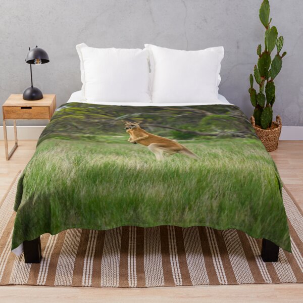 Item preview, Kangaroo in the wild designed and sold by Stephen Jolly.