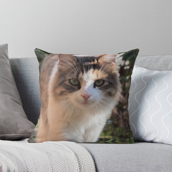 Item preview, Curious Fluffy Cat - Cute Cat Photography designed and sold by MB-CatPrints.