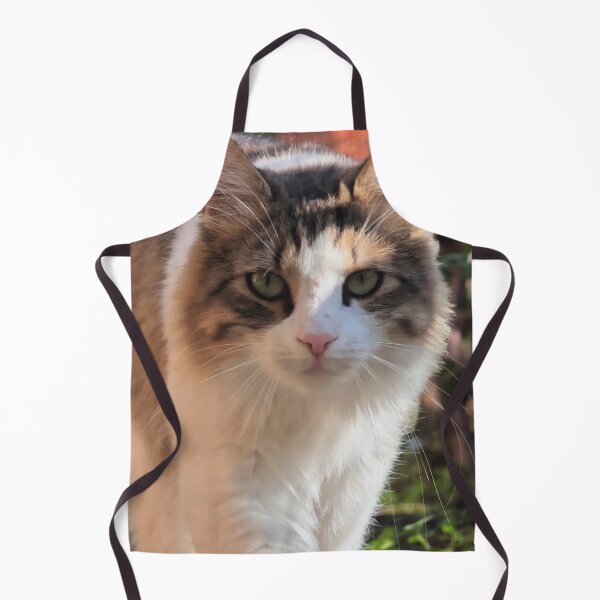 Item preview, Curious Fluffy Cat - Cute Cat Photography designed and sold by MB-CatPrints.