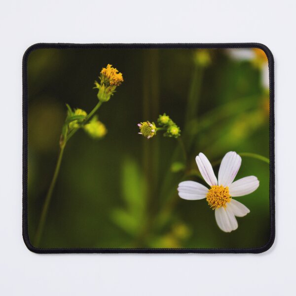 Item preview, The simple beauty of a field daisy designed and sold by franck380.