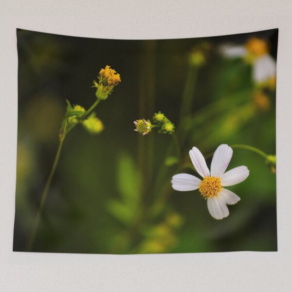 Item preview, The simple beauty of a field daisy designed and sold by franck380.