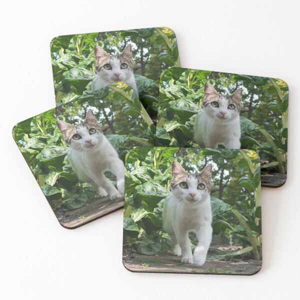 Item preview, Garden Explorer Cat - Cute Cat Photography designed and sold by MB-CatPrints.