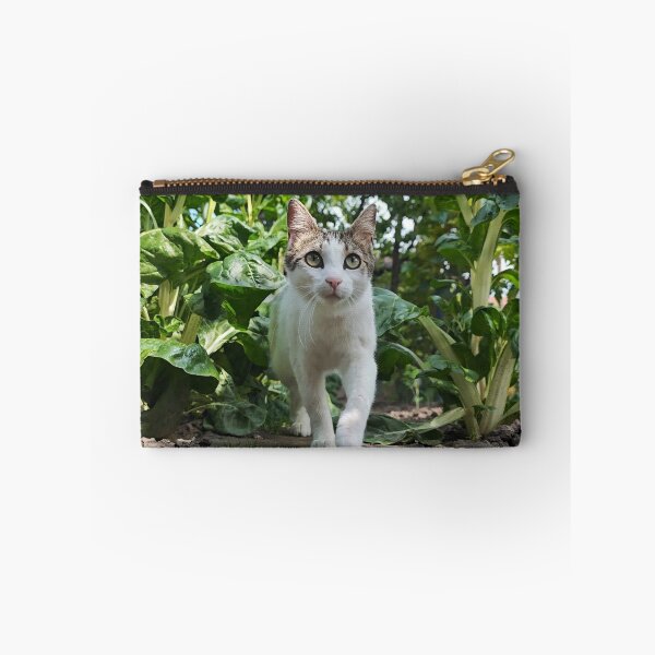 Item preview, Garden Explorer Cat - Cute Cat Photography designed and sold by MB-CatPrints.