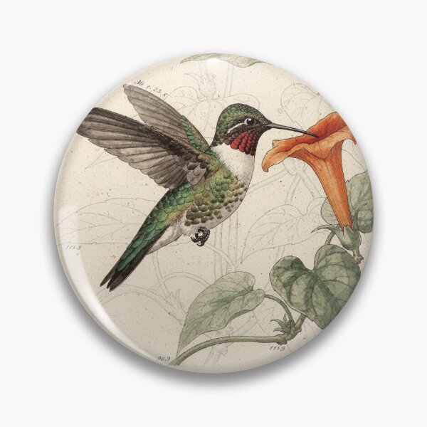 Item preview, Vintage Hummingbird Natural-History Plate designed and sold by PictorialWhimsy.