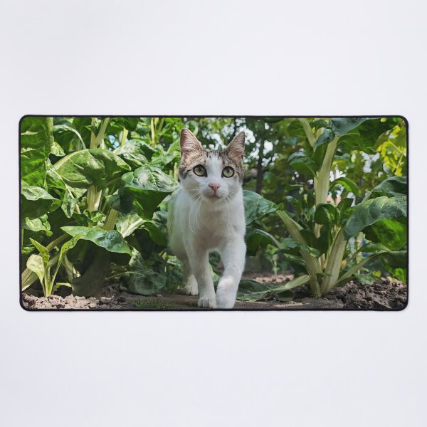 Item preview, Garden Explorer Cat - Cute Cat Photography designed and sold by MB-CatPrints.