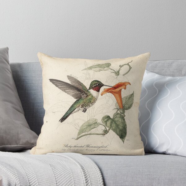 Item preview, Vintage Hummingbird Natural-History Plate designed and sold by PictorialWhimsy.