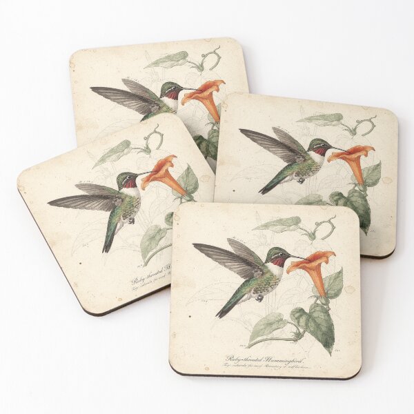 Item preview, Vintage Hummingbird Natural-History Plate designed and sold by PictorialWhimsy.