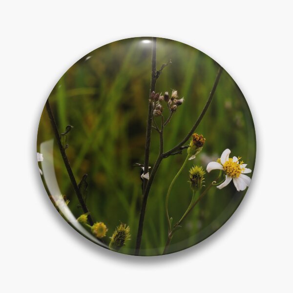 Item preview, Delicate blossoming by the roadside designed and sold by franck380.
