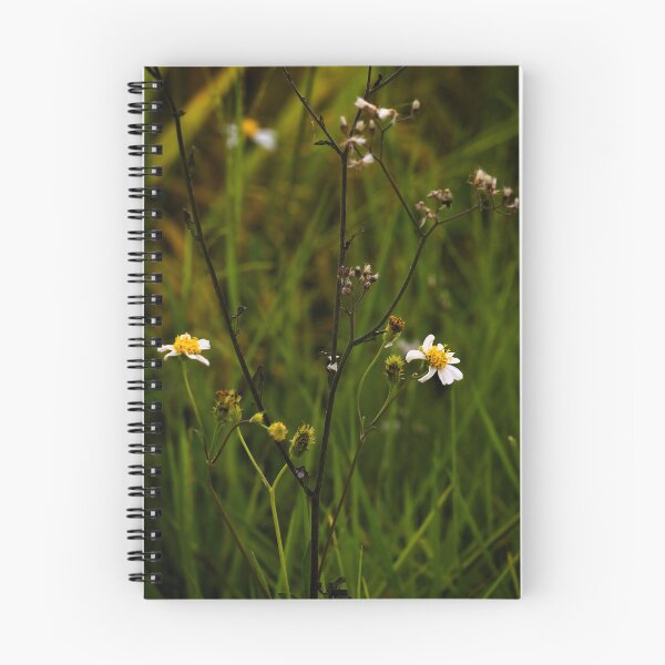 Item preview, Delicate blossoming by the roadside designed and sold by franck380.