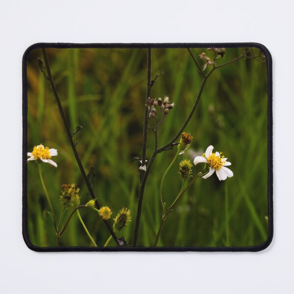 Item preview, Delicate blossoming by the roadside designed and sold by franck380.