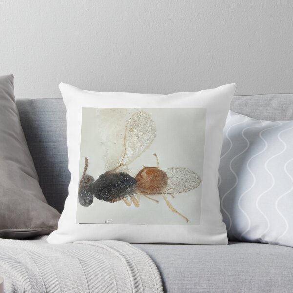 Item preview, Circular Mushroom Design | Mushroom Art designed and sold by GammaRay.