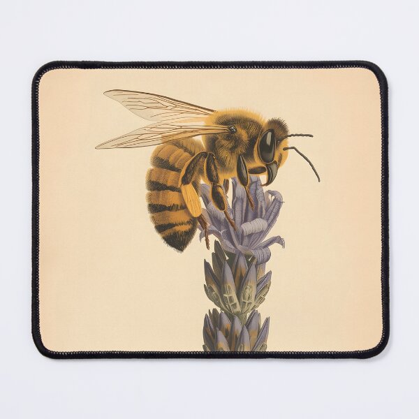 Item preview, Honey Bee on Lavender Botanical Illustration designed and sold by Luna-Flow.