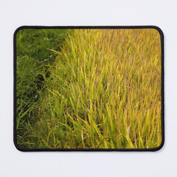 Item preview, Golden harvest under the warm light designed and sold by franck380.