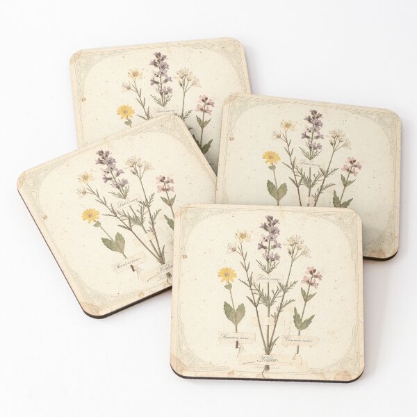 Item preview, Antique Pressed-Wildflower Herbarium Plate designed and sold by PictorialWhimsy.