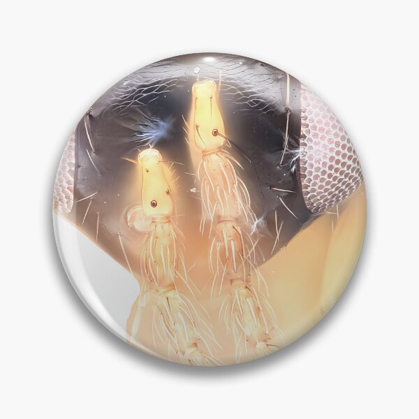 Item preview, Wasp Illustration | Insect Art designed and sold by GammaRay.