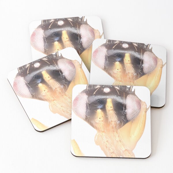 Item preview, Wasp Illustration | Insect Art designed and sold by GammaRay.