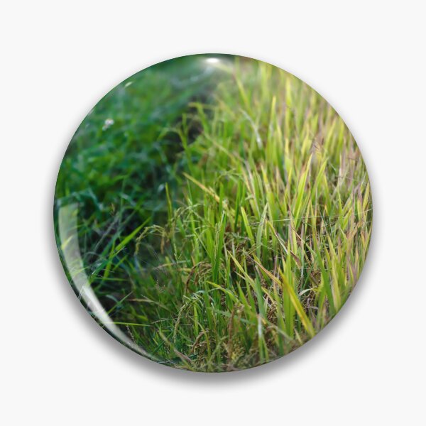 Item preview, Green path through a golden rice paddy designed and sold by franck380.
