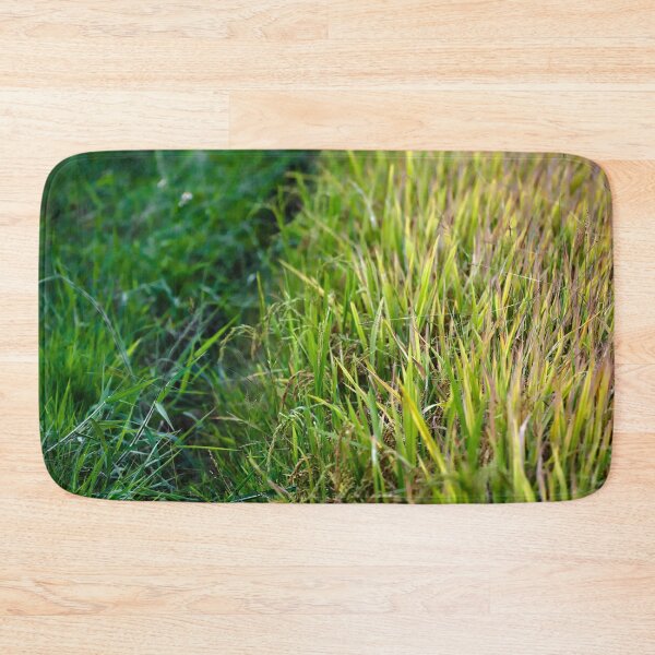 Item preview, Green path through a golden rice paddy designed and sold by franck380.