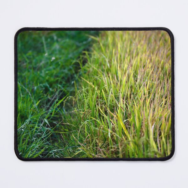 Item preview, Green path through a golden rice paddy designed and sold by franck380.