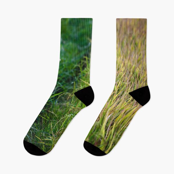 Item preview, Green path through a golden rice paddy designed and sold by franck380.