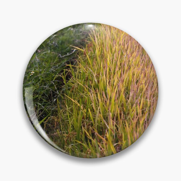 Item preview, Beauty of rice crops in Asia designed and sold by franck380.