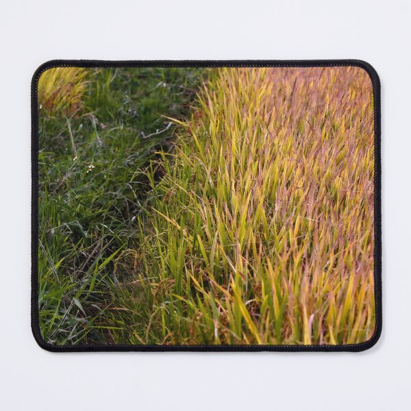 Item preview, Beauty of rice crops in Asia designed and sold by franck380.