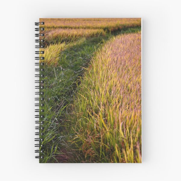 Item preview, Beauty of rice crops in Asia designed and sold by franck380.