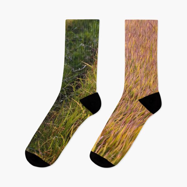 Item preview, Beauty of rice crops in Asia designed and sold by franck380.
